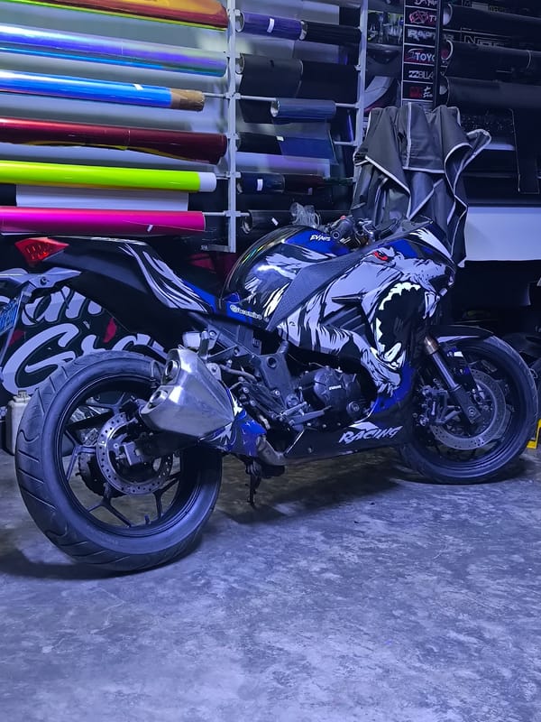 Custom motorcycle with animal graphics spotted in Trujillo shop