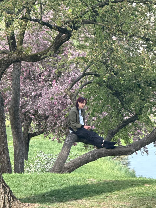 Spring afternoon views captured at Munich's Olympic Park