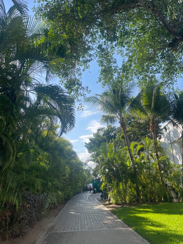 Tourists capture selfie moment on tropical walkway in Playa del Carmen