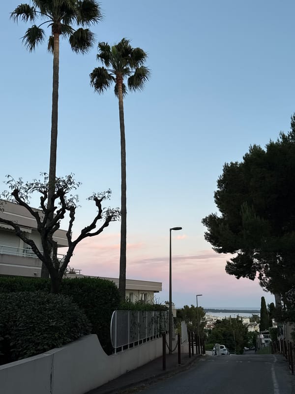 Evening moments captured in Le Cannet, France