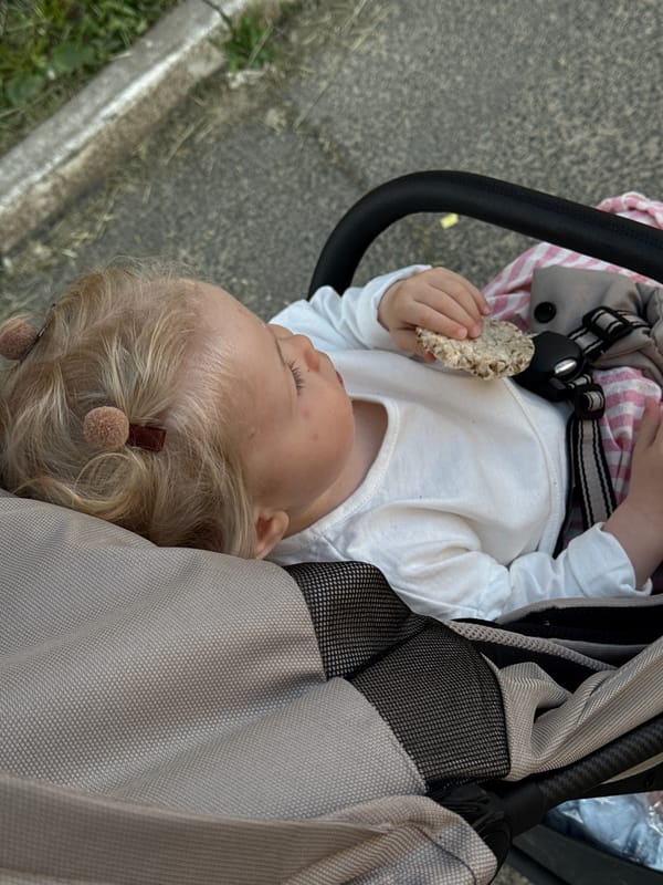 Toddler with snack, fresh strawberries spotted in Vladimir
