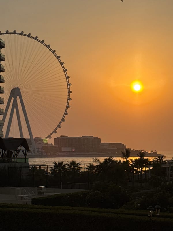 Sunset over Ain Dubai and the Bluewaters Island waterfront