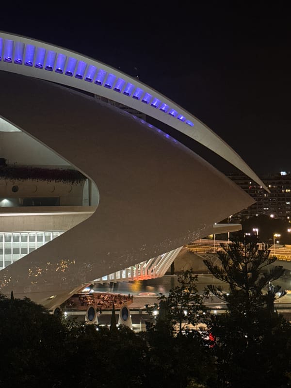 Nighttime photography captures Valencia's futuristic City of Arts Sciences