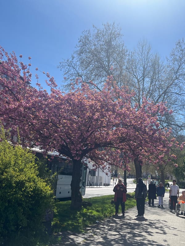 Spring blooms and quirky bathroom art spotted in Saarbrücken