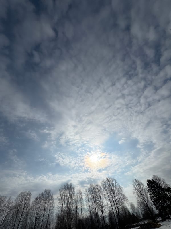 Morning sky conditions documented in Vassyata, Russia