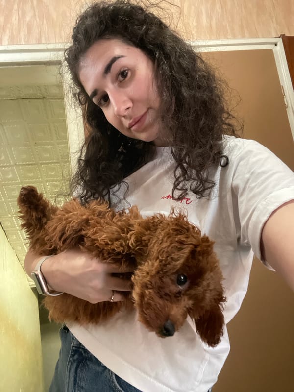 Woman holds brown poodle indoors in Sofia