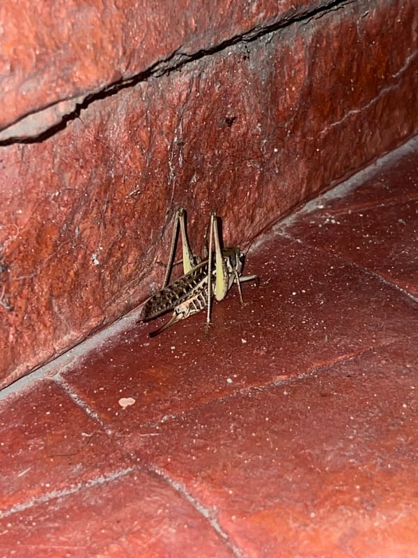 Event