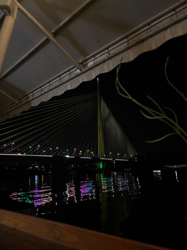 Ada Bridge illuminated at night in Belgrade