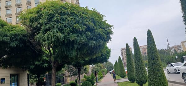 A quiet morning walk through Bishkek's streets and gardens