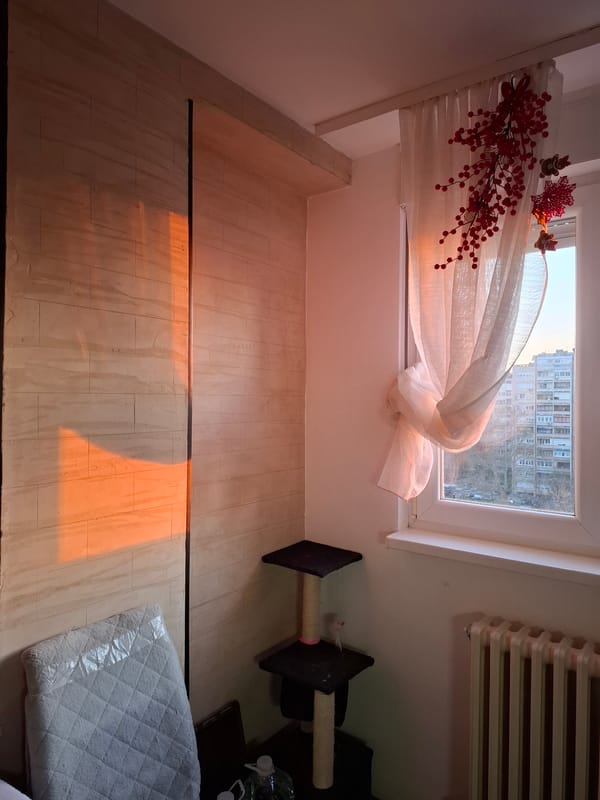 Sunlit room interior documented in Novi Sad apartment