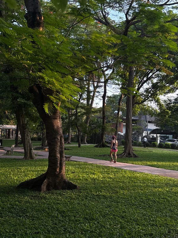 Morning scenes captured across Hà Nội parks and lake
