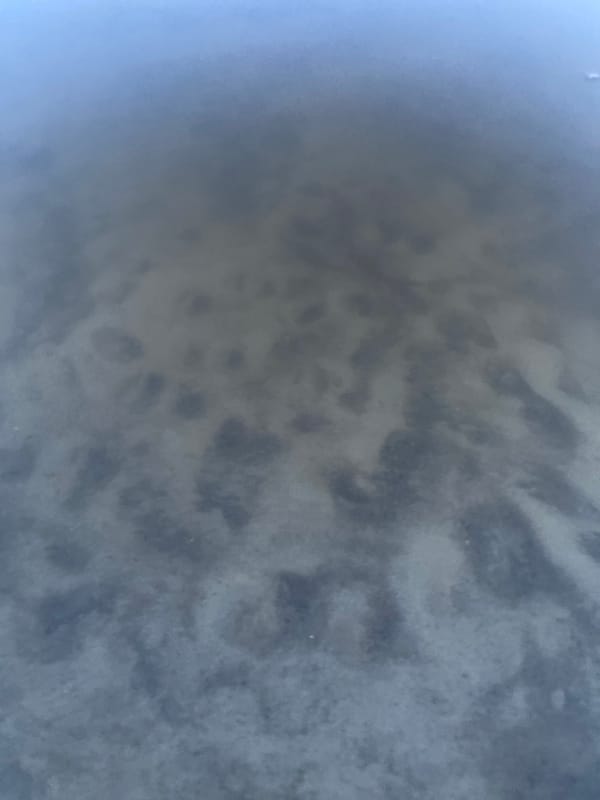 Evening fishing session yields catfish near Ustyvytsia, Ukraine