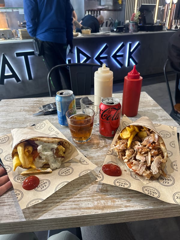 Greek gyros meal captured at Alicante restaurant