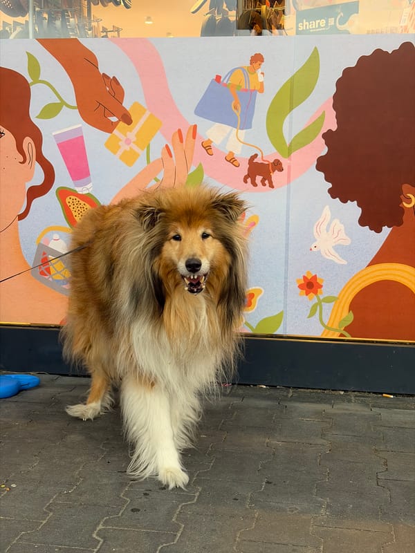 Golden-brown Collie poses in front of a colorful mural.