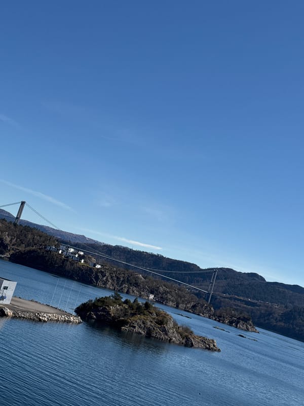 Elevated landscape photo captures Norwegian fjord under clear skies