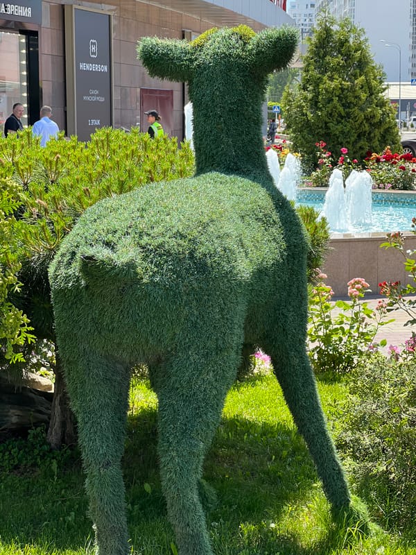 Morning stroll through blooming gardens and fountains in Krasnodar