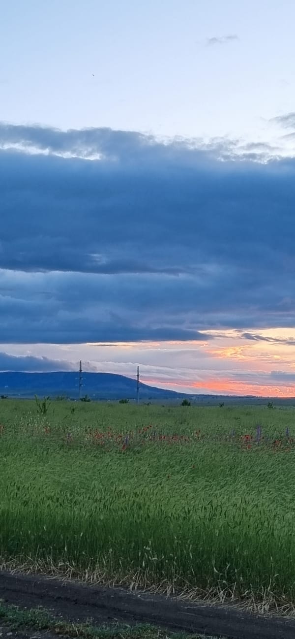 Sunset documented over rural Blizhnee, Ukraine countryside