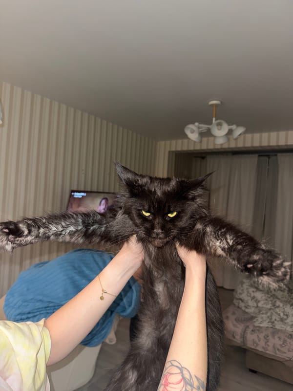 Pets held in unusual positions captured in Sirius, Russia