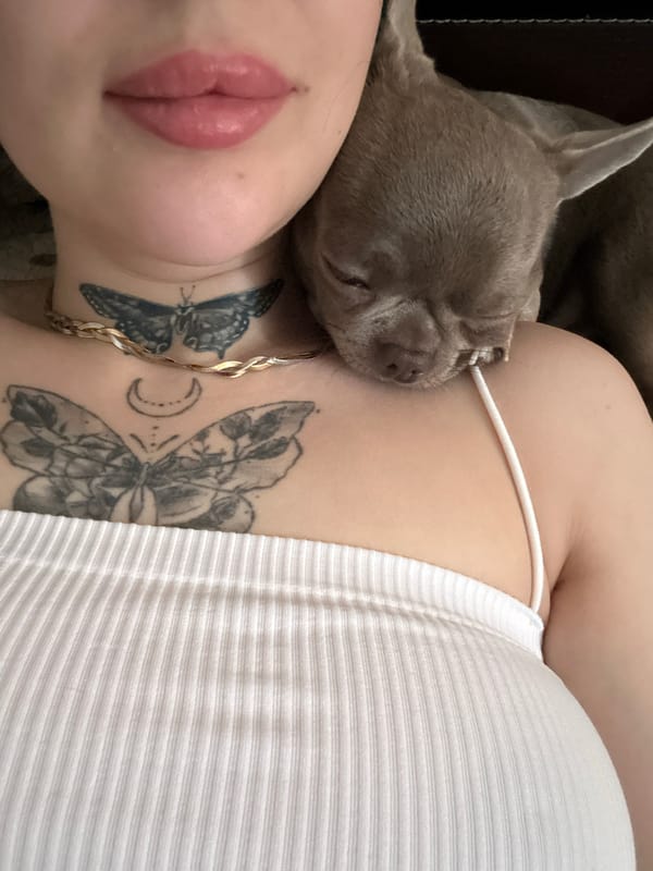 Kyiv morning: selfies, a shoulder dog, and smoked salmon toast
