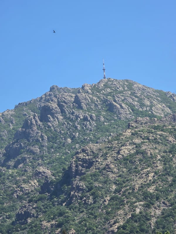 Bird flies near mountain with radio tower, clear sky