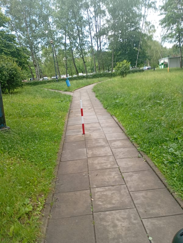 Close-up nature spotting along a rainy Krakow park path