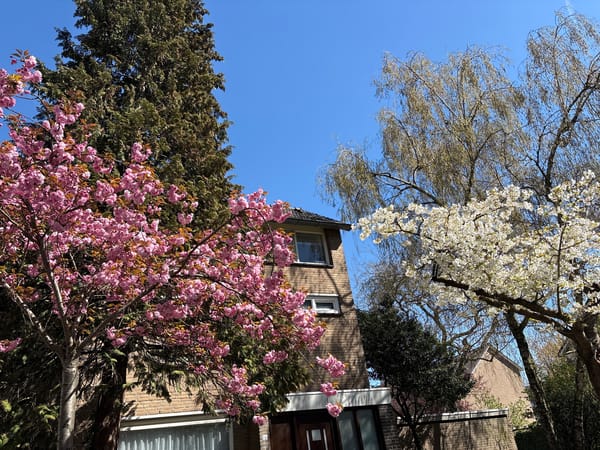 Spring stroll with stroller on quiet Veghel street
