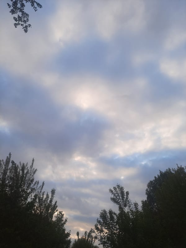 Ordinary afternoon scenes documented under cloudy skies in Barnaul