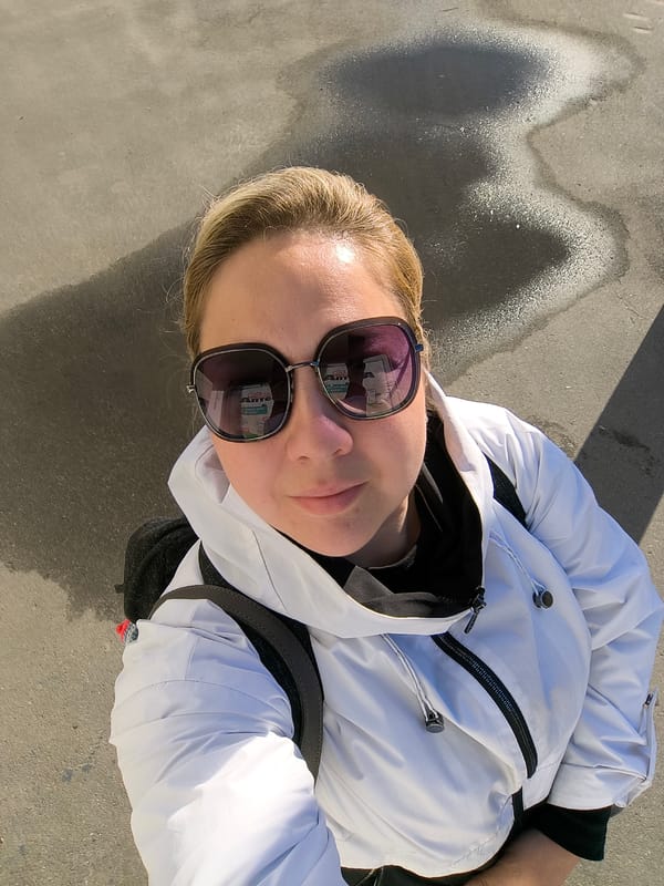 Selfies at a gate decorated with horse murals