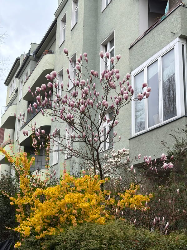 Woman photographed near blooming trees in Berlin residential area