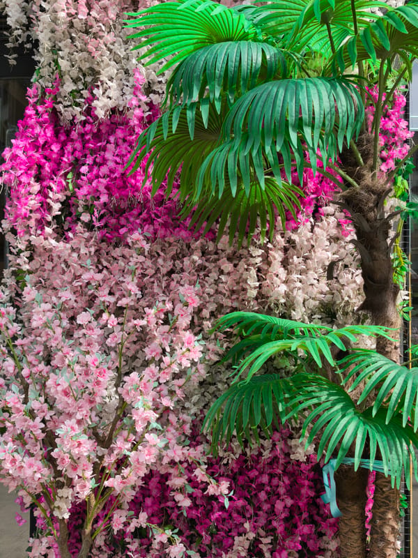 Moscow resident documents modern urban landscape and decorative displays