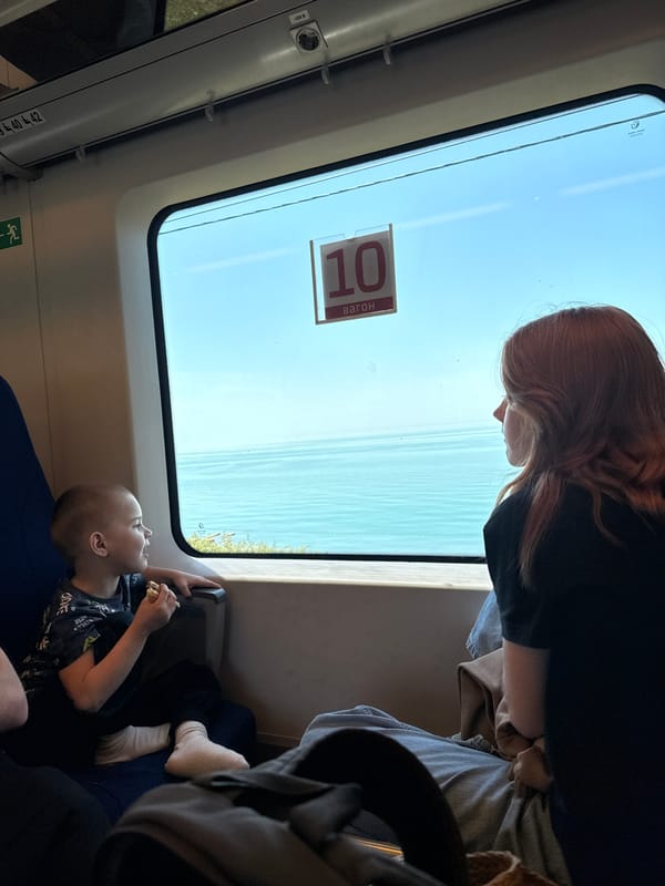Train passenger captures Black Sea view near Sochi