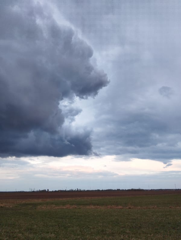 Storm clouds and rainbow observed over agricultural fields