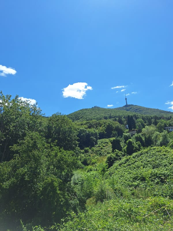 Lush hillside panorama on the outskirts of Sofia