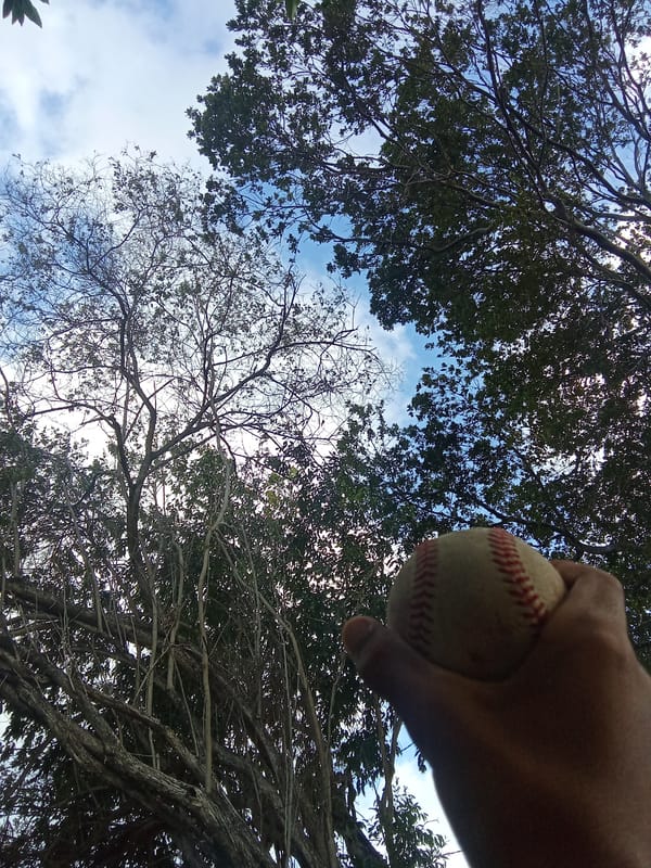 Baseball photography session under trees in Juan Griego, Venezuela