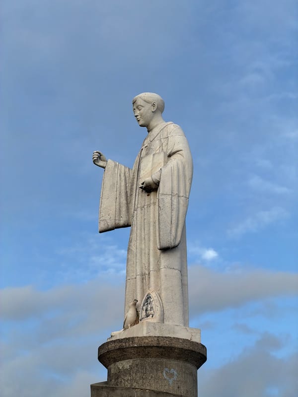 Stone statue and parked car observed on Bragança hillside