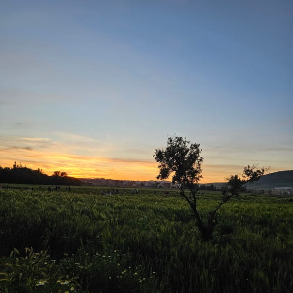 Sunset observed over Fez, Morocco with scattered people outdoors
