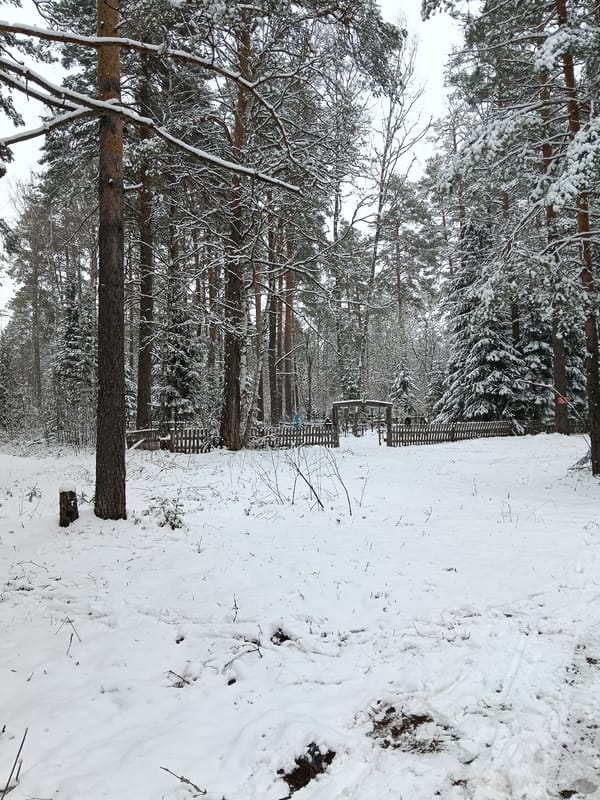 Woman documents snowy forest walk in Красный Маяк, Russia