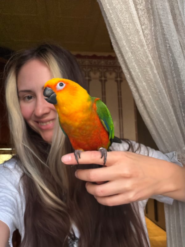 Basketball and golden-hour Khimki, with a parrot in the mix
