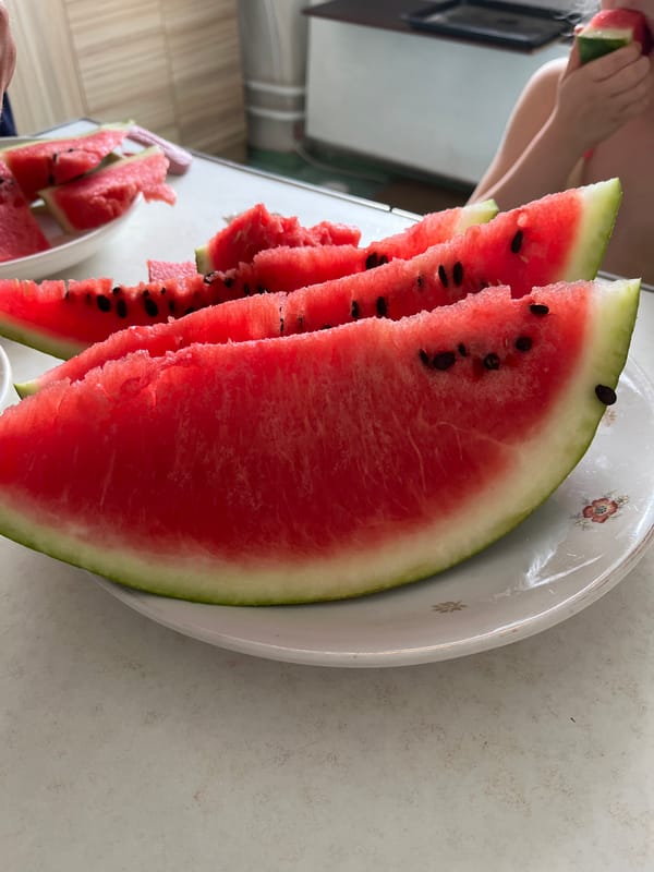 Lazy summer morning at home: watermelon, cats, and everyday life