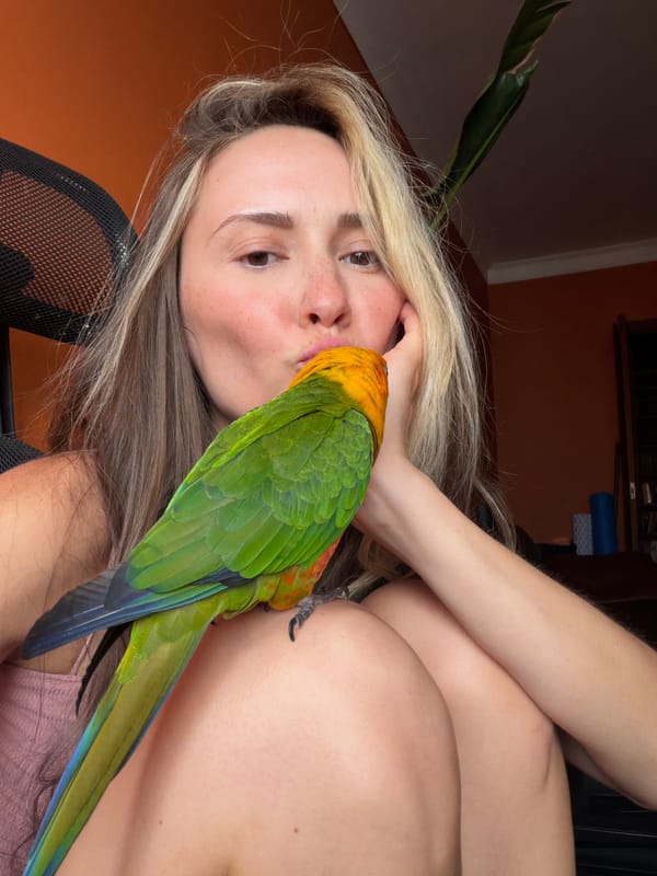 A relaxed afternoon at home in Khimki with a parrot and piano