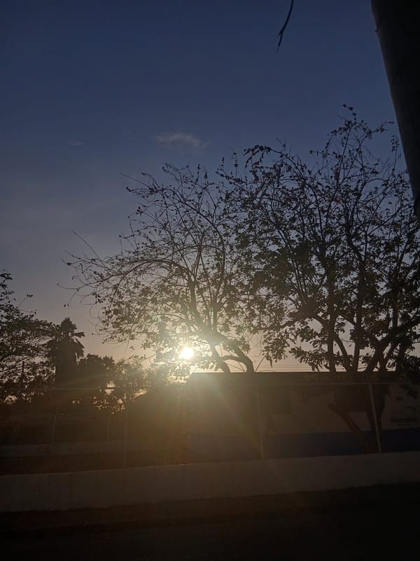 Casual photo session captured in Juan Griego, Venezuela