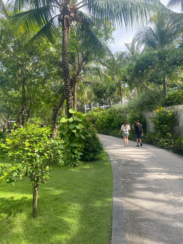 Couple walks through tropical gardens in Vietnam coastal ward