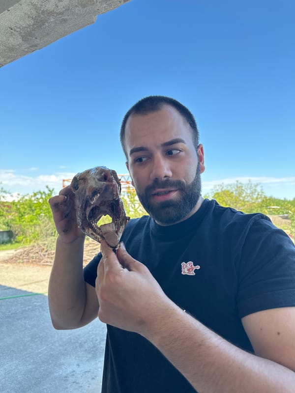 Outdoor moments captured in Bulgarian town: skull examination, couple's embrace
