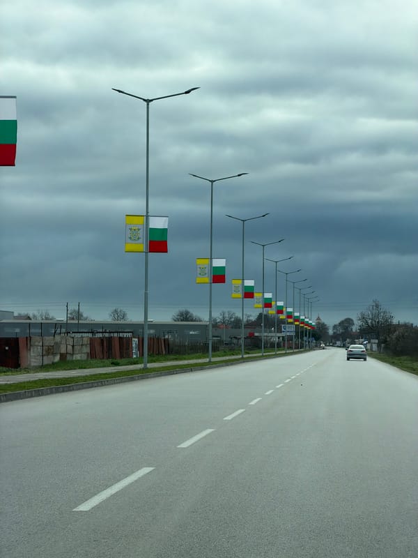 Bulgarian and Rakovski flags line street in Bulgaria