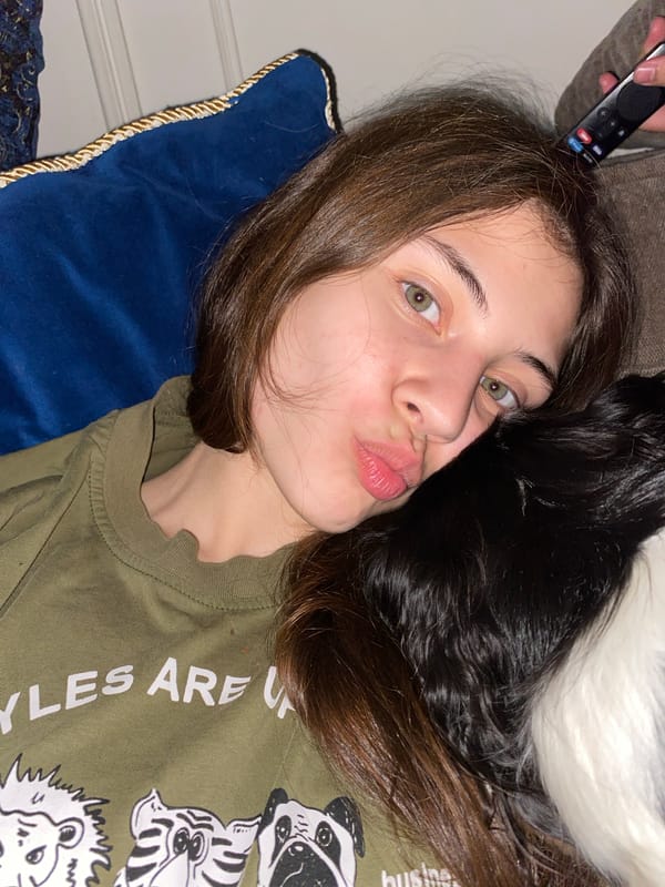 Couch day with a Cavalier King Charles Spaniel in Izhevsk