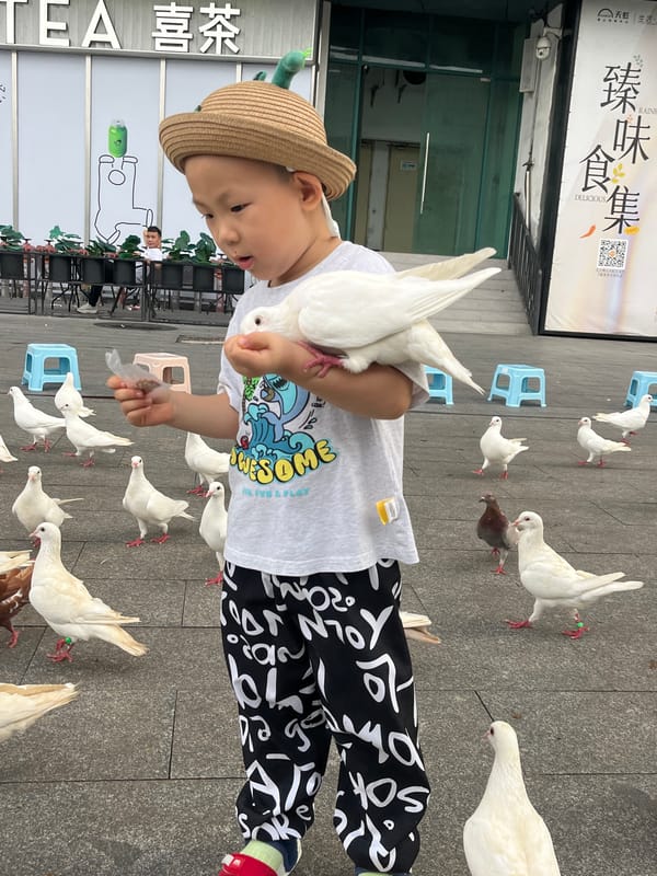 Feeding pigeons in a Chancheng plaza, dinosaur hat and all