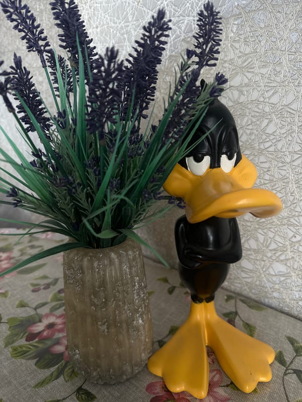 Quirky figurines and plush toys photographed up close in Khabarovsk
