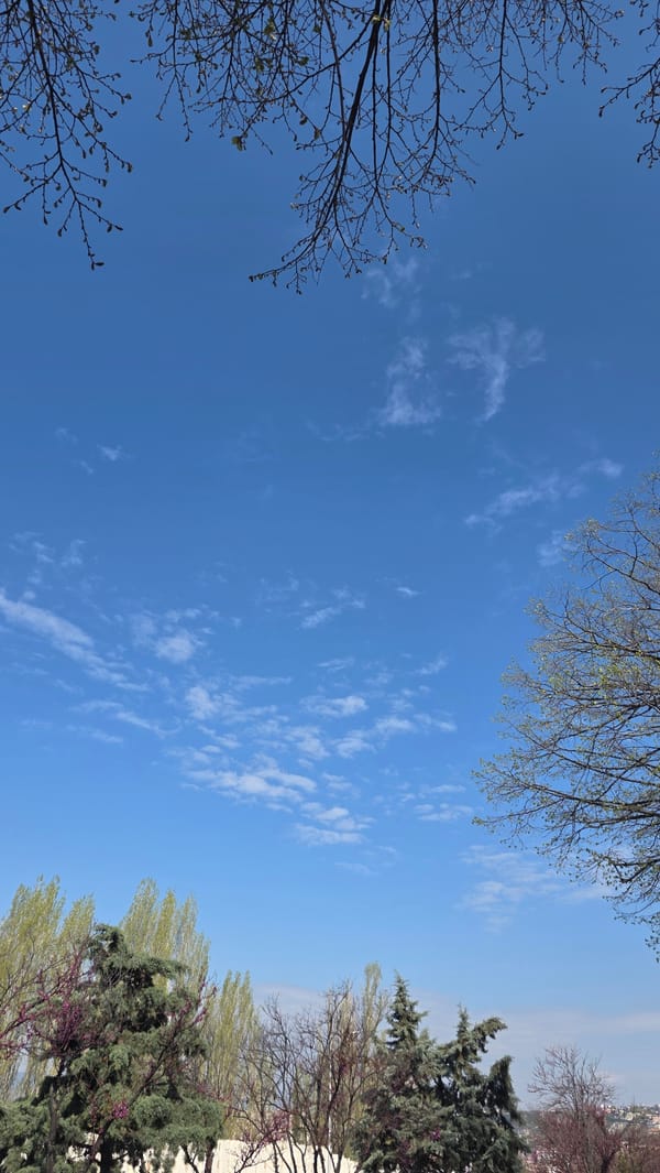 Quiet morning moments captured in Blagoevgrad: sky views, resting dog