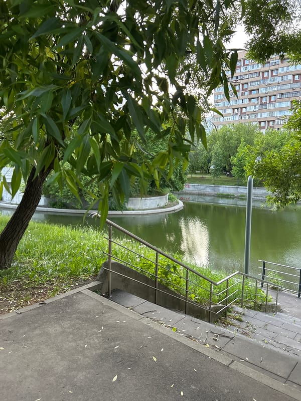 Urban waterfront with green water and walkway documented