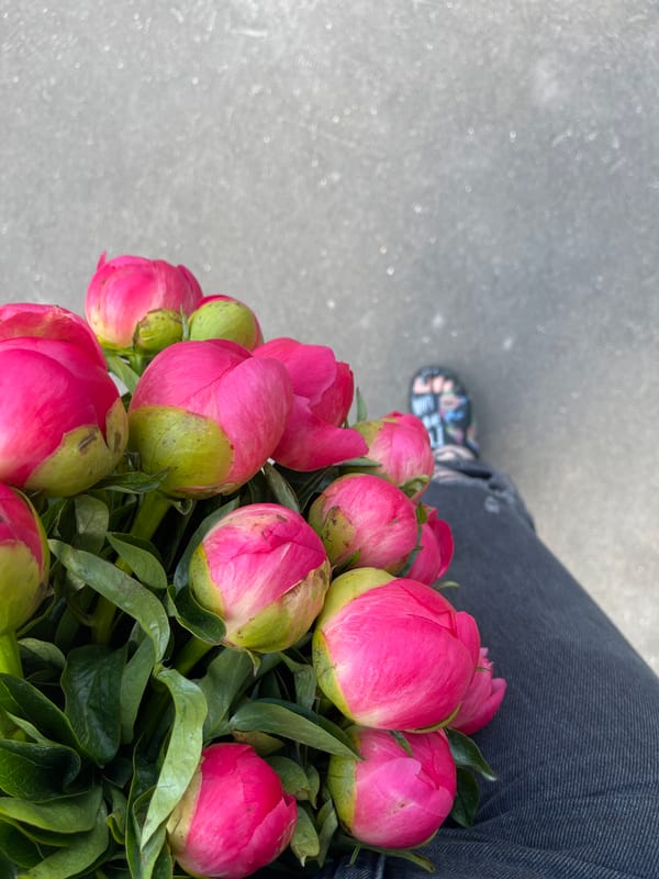 Person photographs pink peony bouquet in Kommunarka, Russia